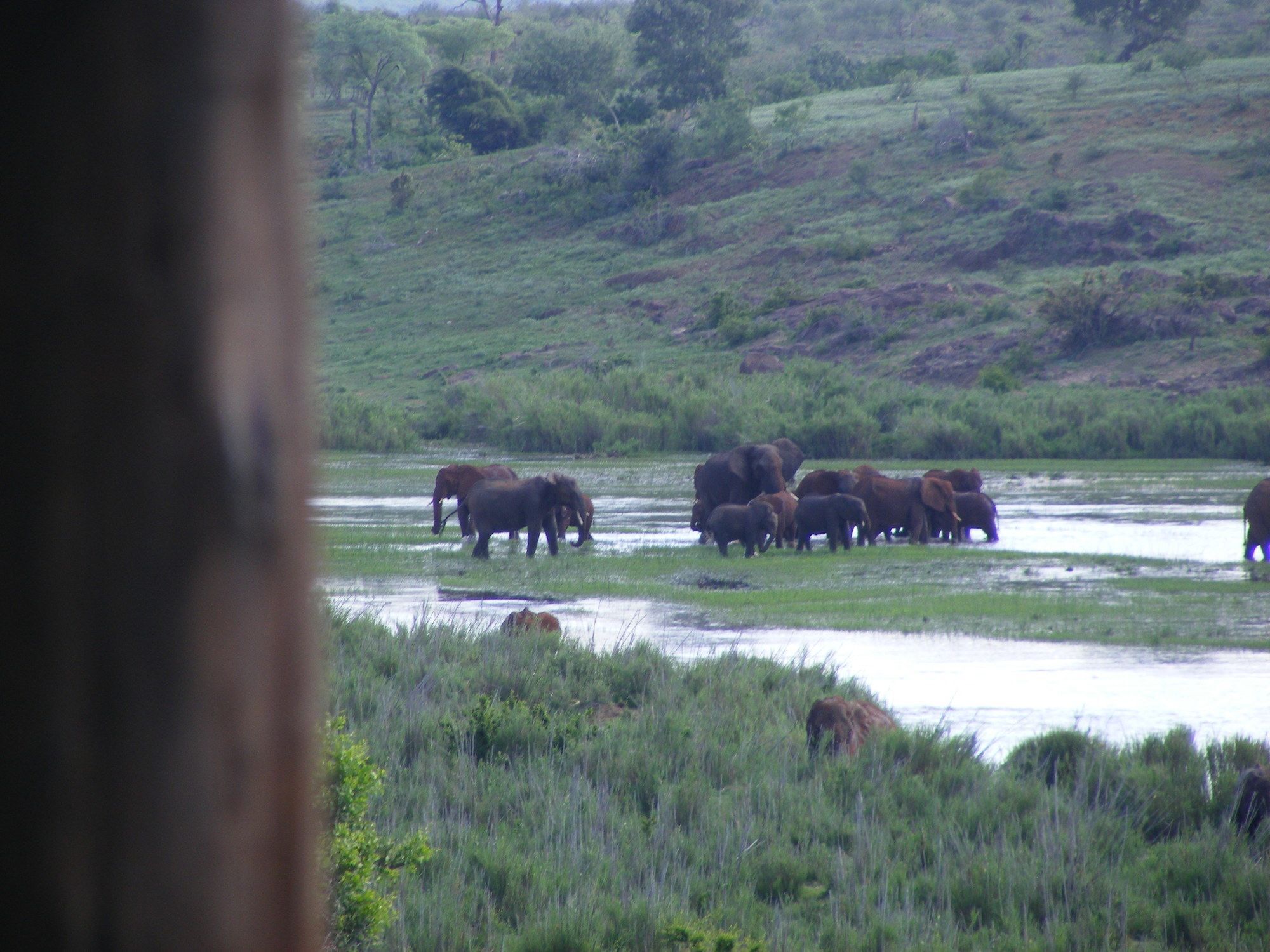 Elephant Walk Retreat كوماتيبورت المظهر الخارجي الصورة