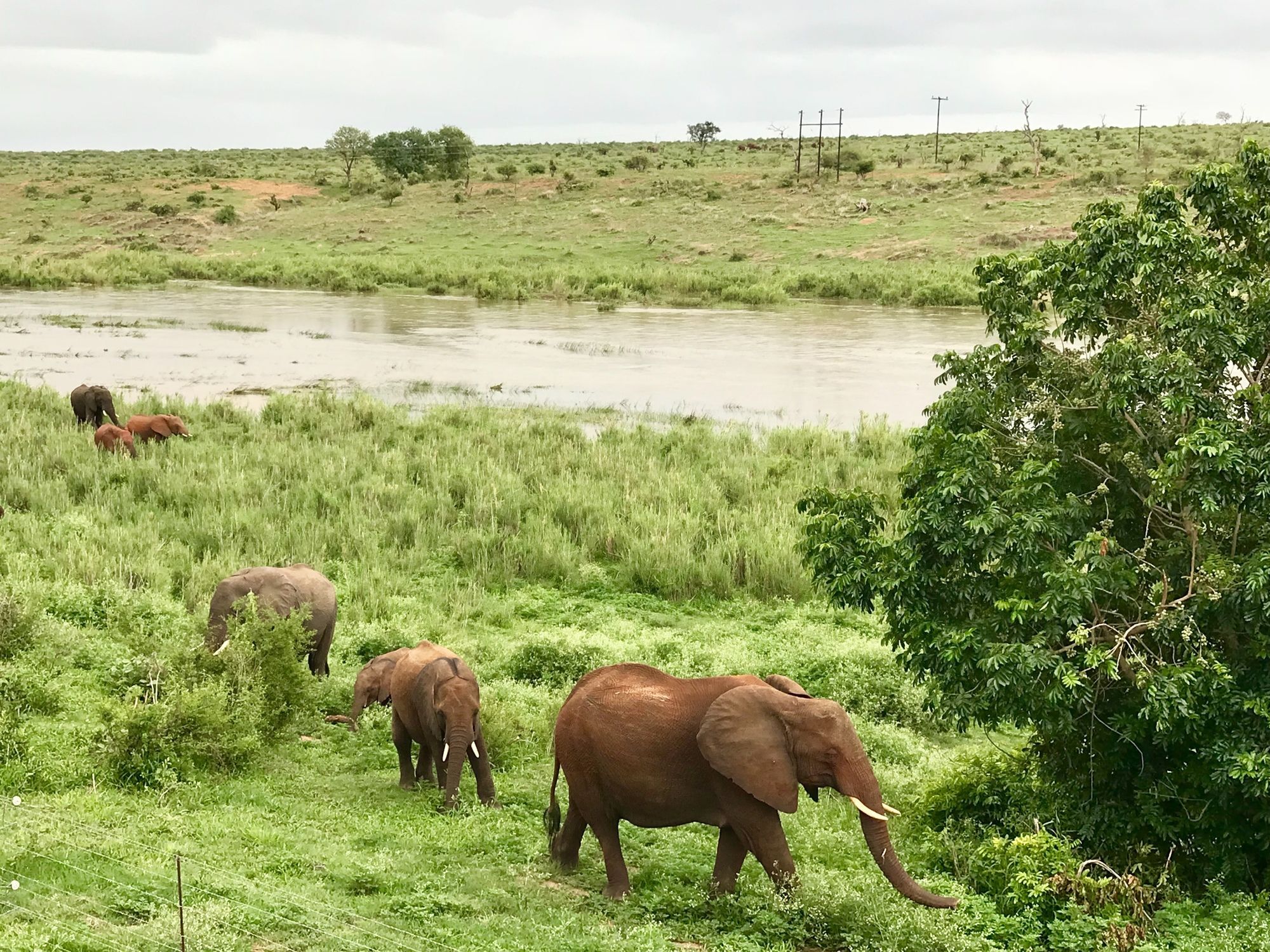 Elephant Walk Retreat كوماتيبورت المظهر الخارجي الصورة