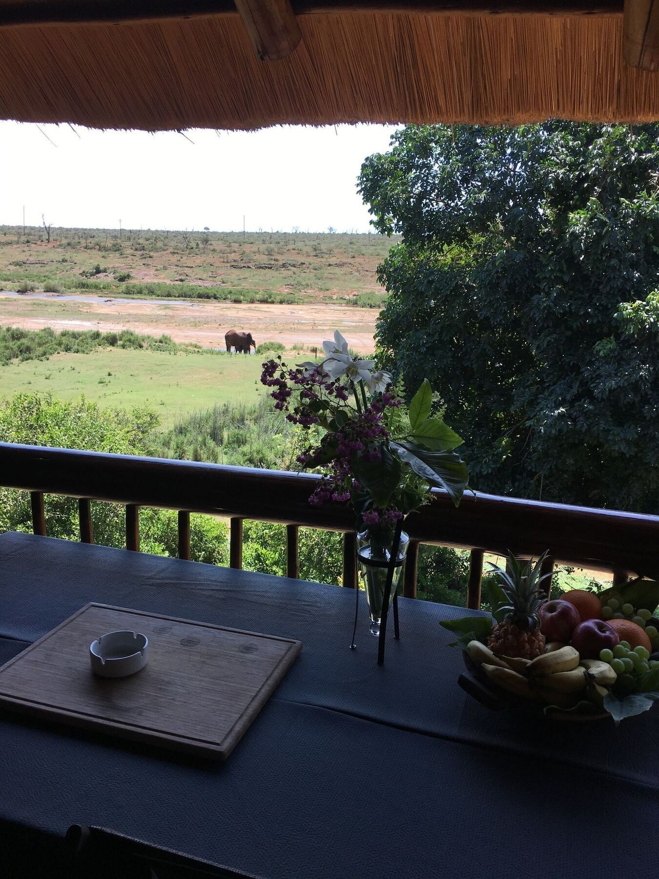 Elephant Walk Retreat كوماتيبورت المظهر الخارجي الصورة